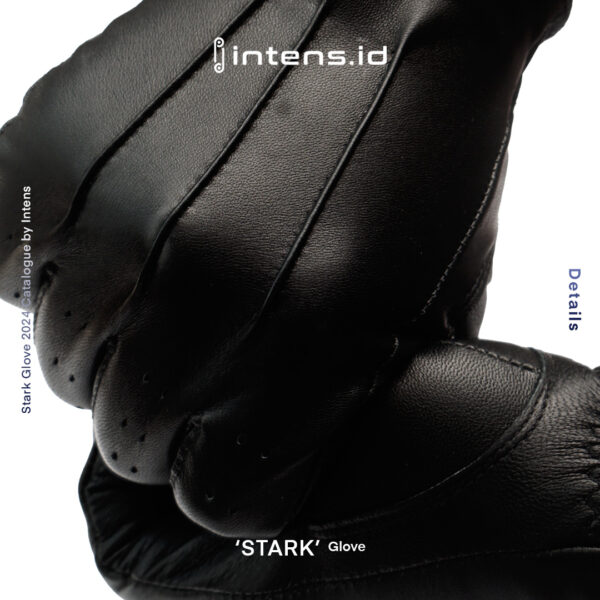 Sarung Tangan motor Stark Gloves
