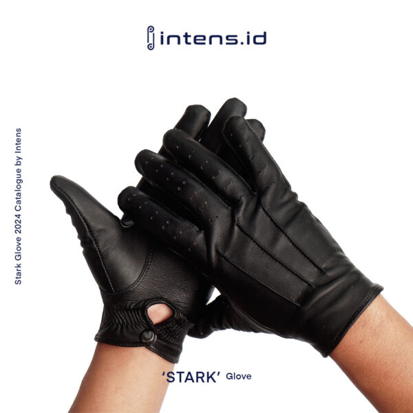 Sarung Tangan motor Stark Gloves